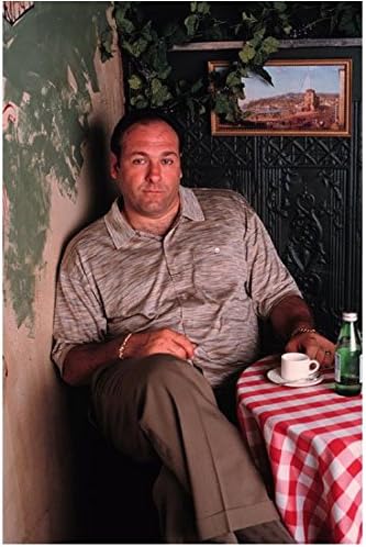 Sopranos James Gandolfini kao Tony Soprano sjedio je u kafiću kako pije kavu 8 x 10 inča fotografije