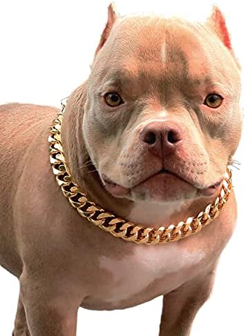 Pp u boji zlatni lanac za pseće ovratnik-3/4 širina kubanska veza ogrlica za pse, slatka modni ovratnik za kućne ljubimce za jamu buldog,