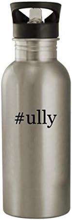 Knick Knack pokloni ULLY - boca vode od nehrđajućeg čelika od 20oz, srebro